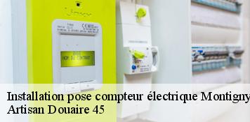 Installation pose compteur électrique  montigny-45170 Artisan Douaire 45