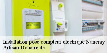 Installation pose compteur électrique  nancray-sur-rimarde-45340 Artisan Douaire 45