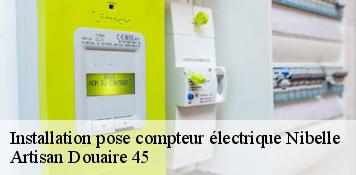 Installation pose compteur électrique  nibelle-45340 Artisan Douaire 45