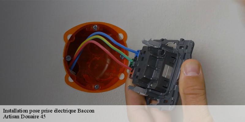 Installation pose prise électrique  baccon-45130 Artisan Douaire 45