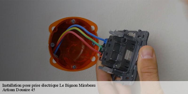 Installation pose prise électrique  le-bignon-mirabeau-45210 Artisan Douaire 45