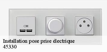 Installation pose prise électrique  labrosse-45330 Artisan Douaire 45