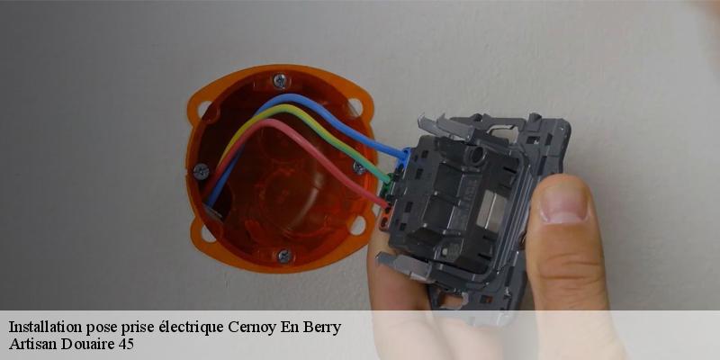 Installation pose prise électrique  cernoy-en-berry-45360 Artisan Douaire 45