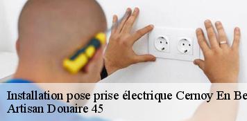 Installation pose prise électrique  cernoy-en-berry-45360 Artisan Douaire 45