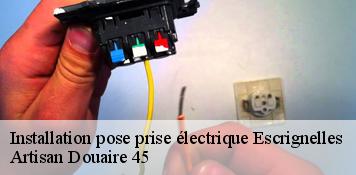 Installation pose prise électrique  escrignelles-45250 Artisan Douaire 45