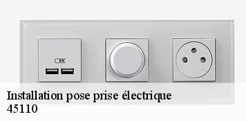 Installation pose prise électrique  germigny-des-pres-45110 Artisan Douaire 45