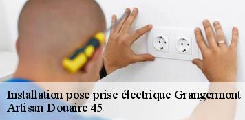 Installation pose prise électrique  grangermont-45390 Artisan Douaire 45