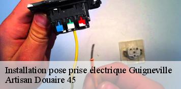 Installation pose prise électrique  guigneville-45300 Artisan Douaire 45