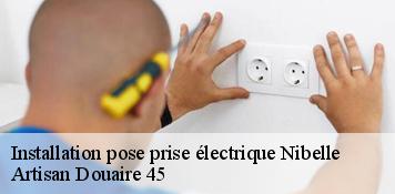 Installation pose prise électrique  nibelle-45340 Artisan Douaire 45
