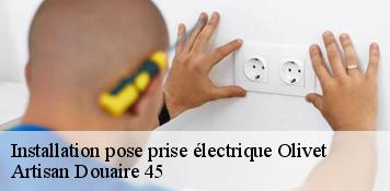 Installation pose prise électrique  olivet-45160 Artisan Douaire 45