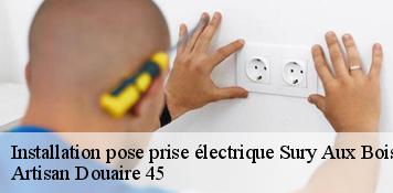 Installation pose prise électrique  sury-aux-bois-45530 Artisan Douaire 45