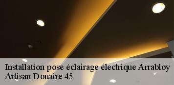 Installation pose éclairage électrique  arrabloy-45500 Artisan Douaire 45