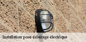 Installation pose éclairage électrique  arrabloy-45500 Artisan Douaire 45