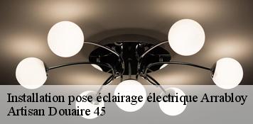 Installation pose éclairage électrique  arrabloy-45500 Artisan Douaire 45