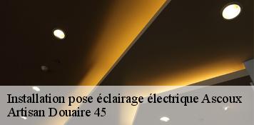 Installation pose éclairage électrique  ascoux-45300 Artisan Douaire 45