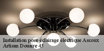 Installation pose éclairage électrique  ascoux-45300 Artisan Douaire 45