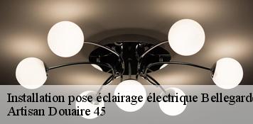 Installation pose éclairage électrique  bellegarde-45270 Artisan Douaire 45