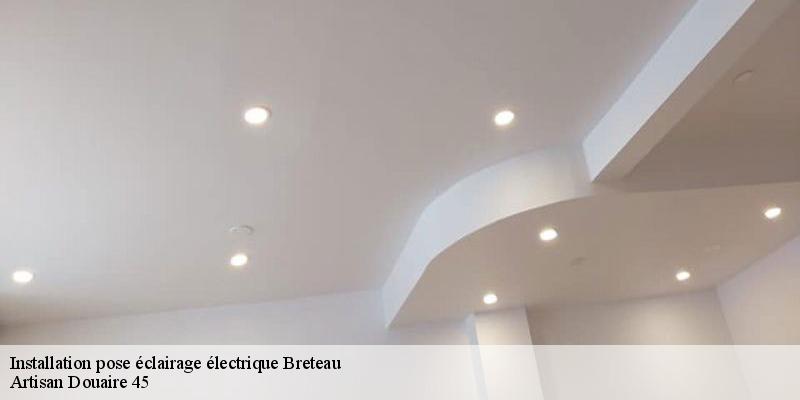 Installation pose éclairage électrique  breteau-45250 Artisan Douaire 45