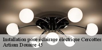 Installation pose éclairage électrique  cercottes-45520 Artisan Douaire 45