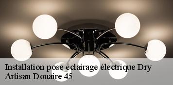 Installation pose éclairage électrique  dry-45370 Artisan Douaire 45