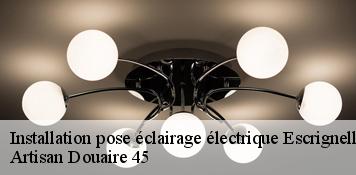 Installation pose éclairage électrique  escrignelles-45250 Artisan Douaire 45