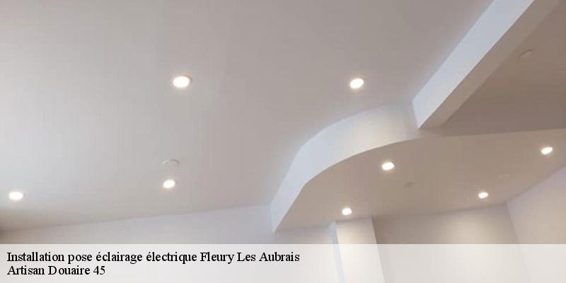 Installation pose éclairage électrique  fleury-les-aubrais-45400 Artisan Douaire 45